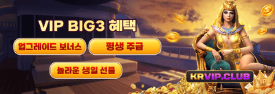 VIP 전용 리베이트 promotion banner